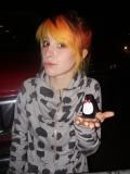 paramore dah&nbsp; &nbsp; &nbsp;